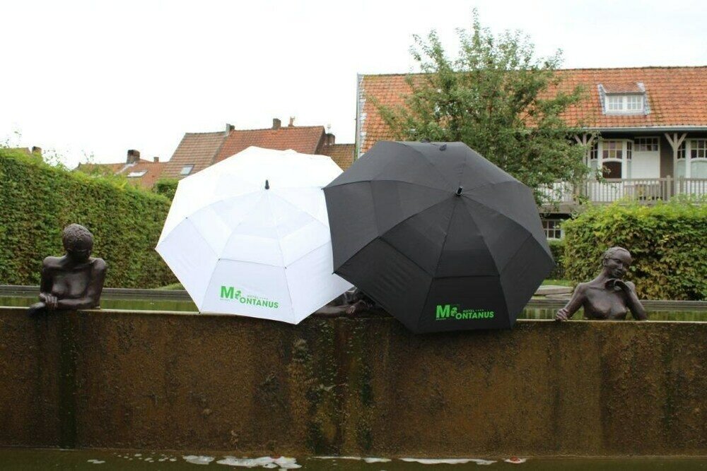 Фото Hotel Montanus