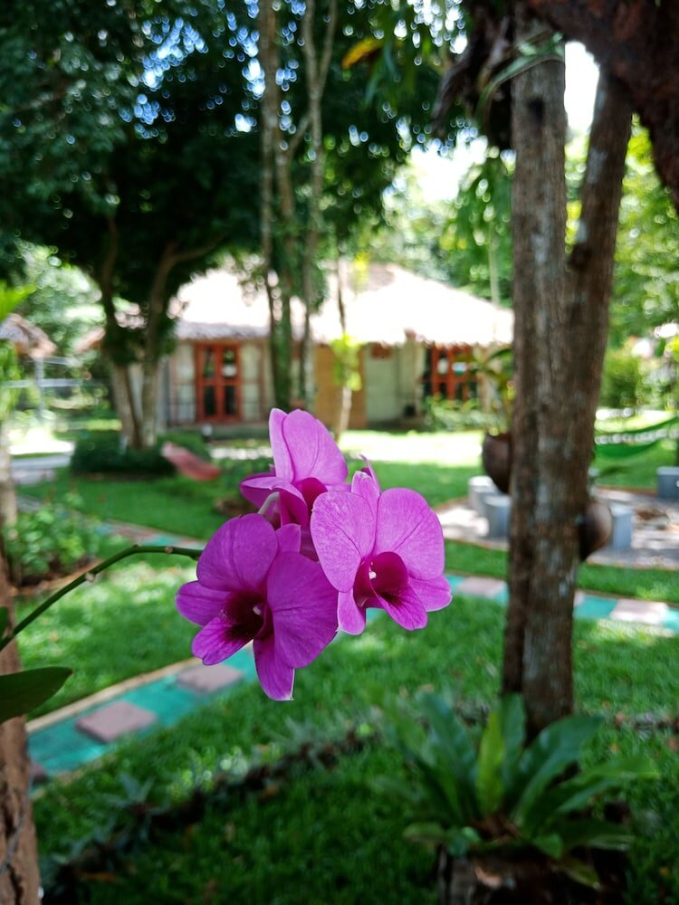 Фото Blanco Hostel at Lanta