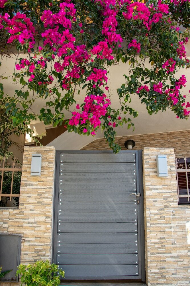 Фото MarGio Skiathos Apartments