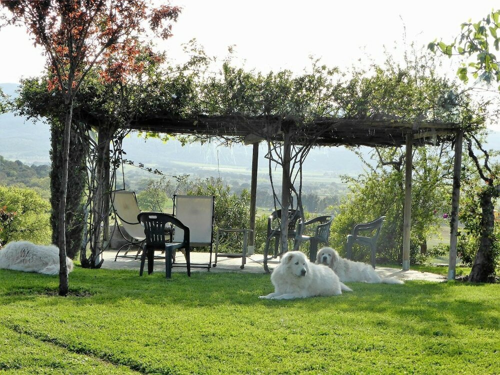 Фото Podere n° 8 in Maremma