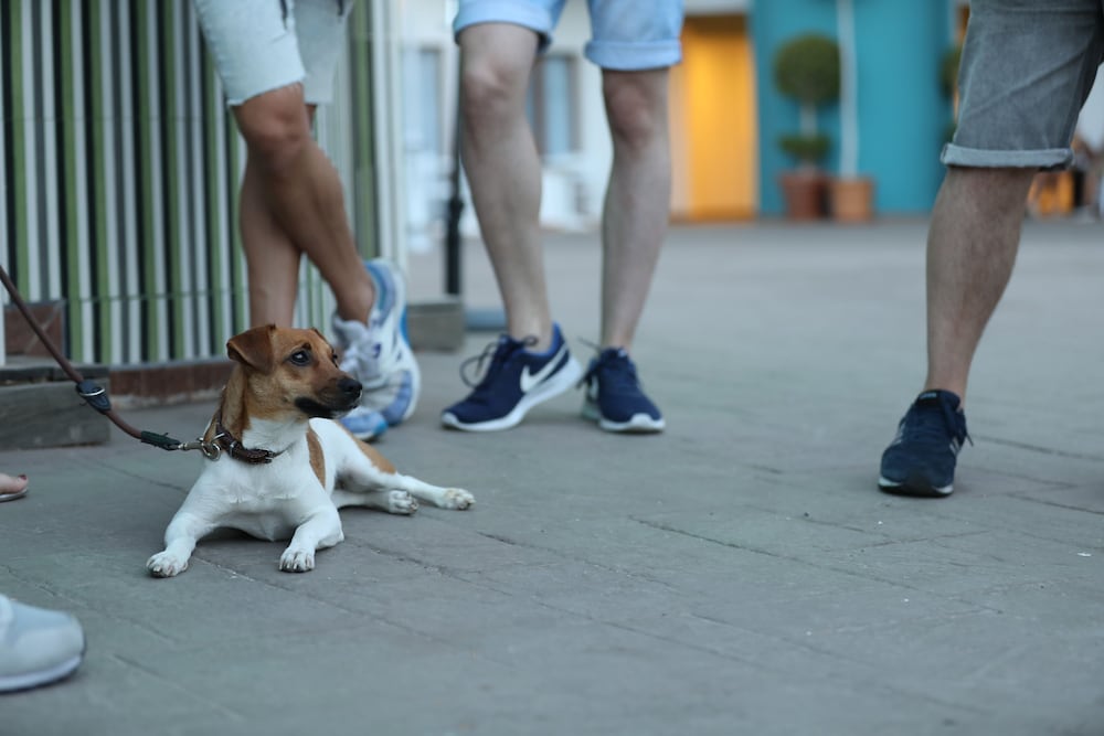 Фото Hotel Ritual Maspalomas – Adults Only