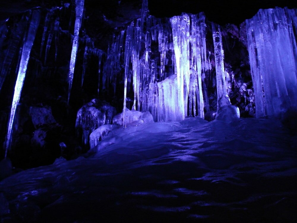 Фото Hotel Mystays Fuji Onsen Resort