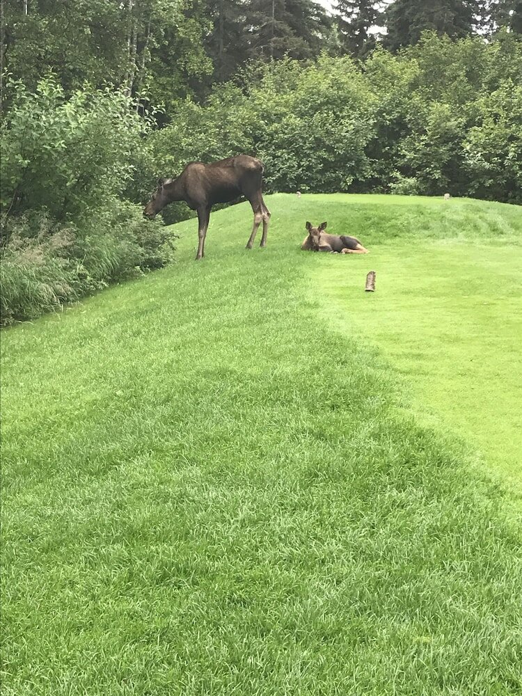 Фото Americas Best Value Inn & Suites Anchorage Airport