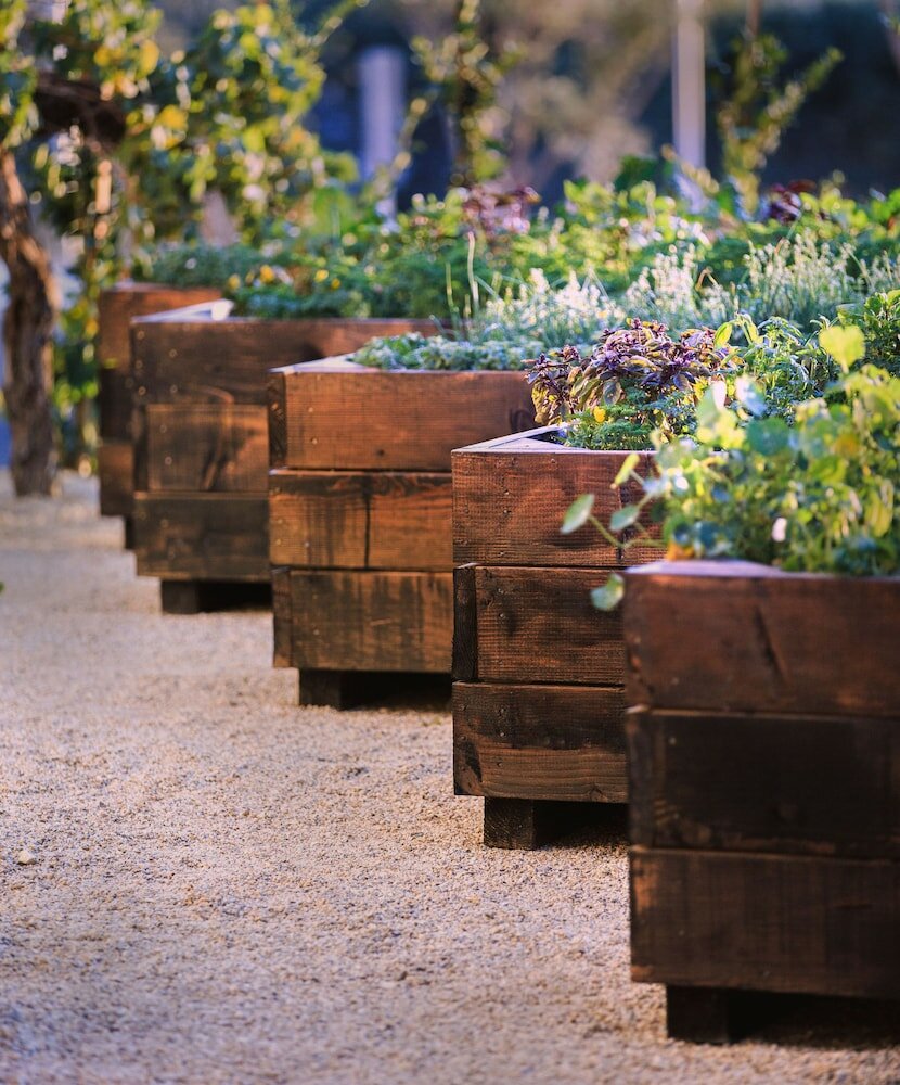 Фото Allegretto Vineyard Resort Paso Robles
