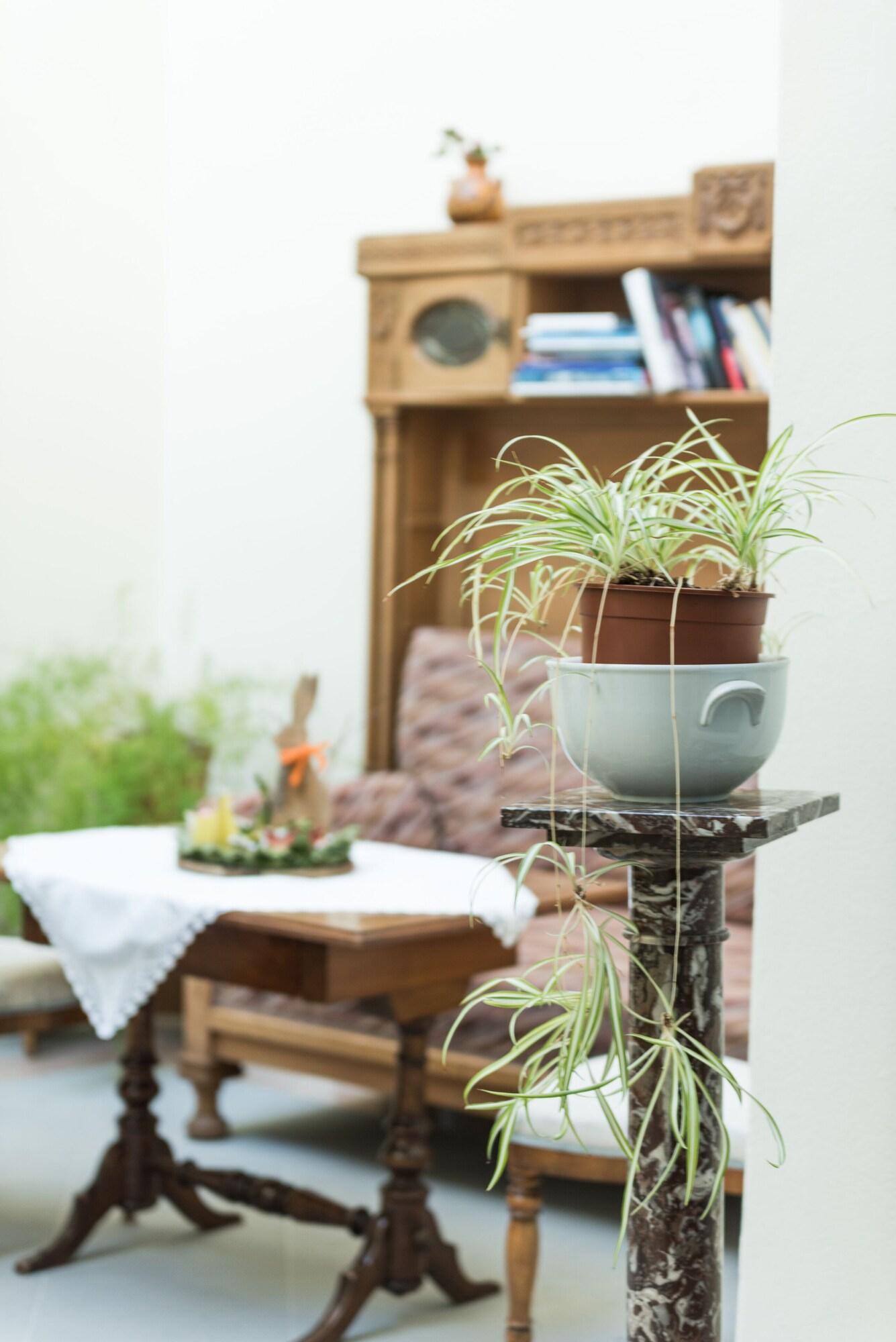 Фото Gästehaus im Priesterseminar Salzburg