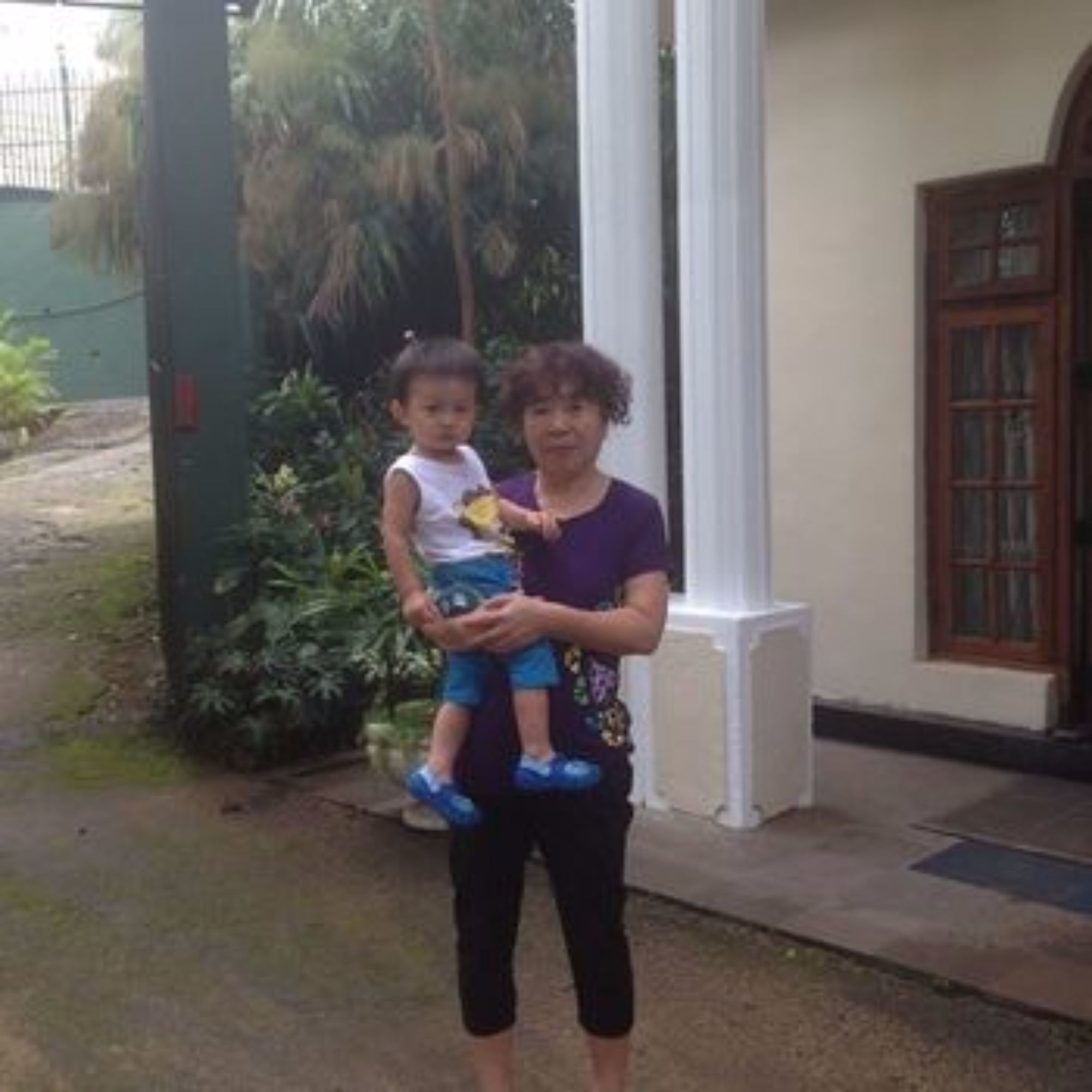 Фото Tree Breeze Inn