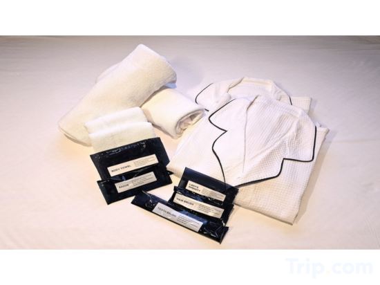 Фото Dynasty Hotel & Resort Osaka