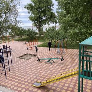 Фото Берёзка