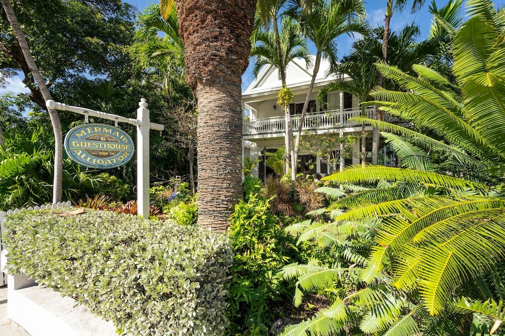 Фото The Mermaid & Alligator