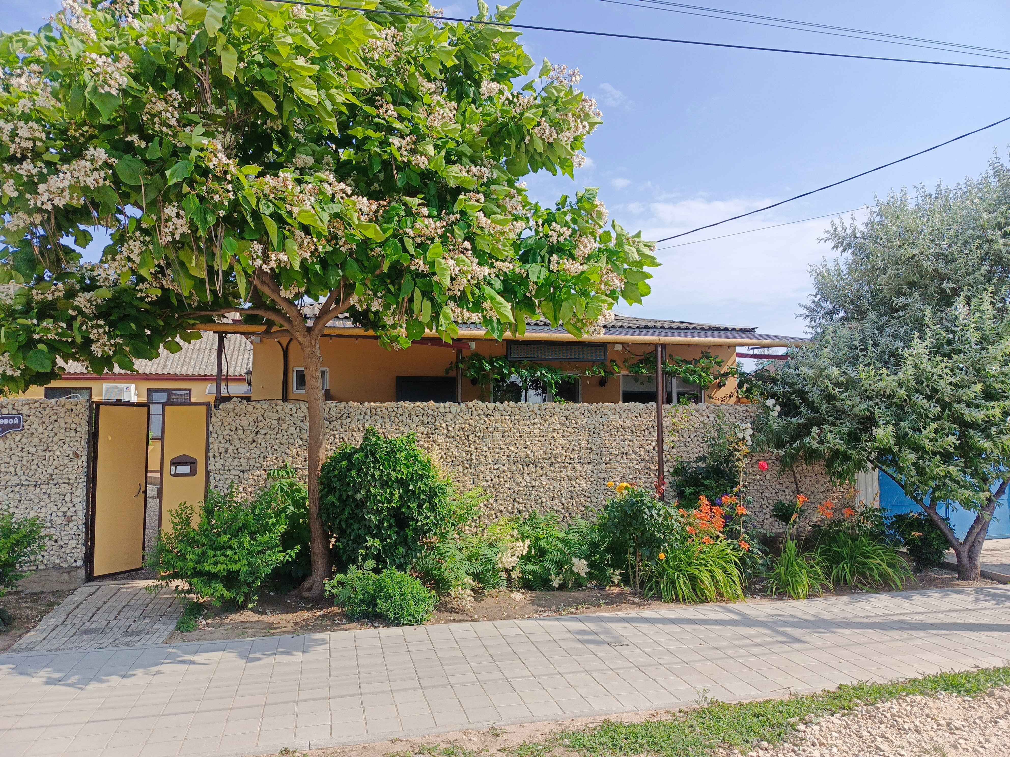 Фото Марианна