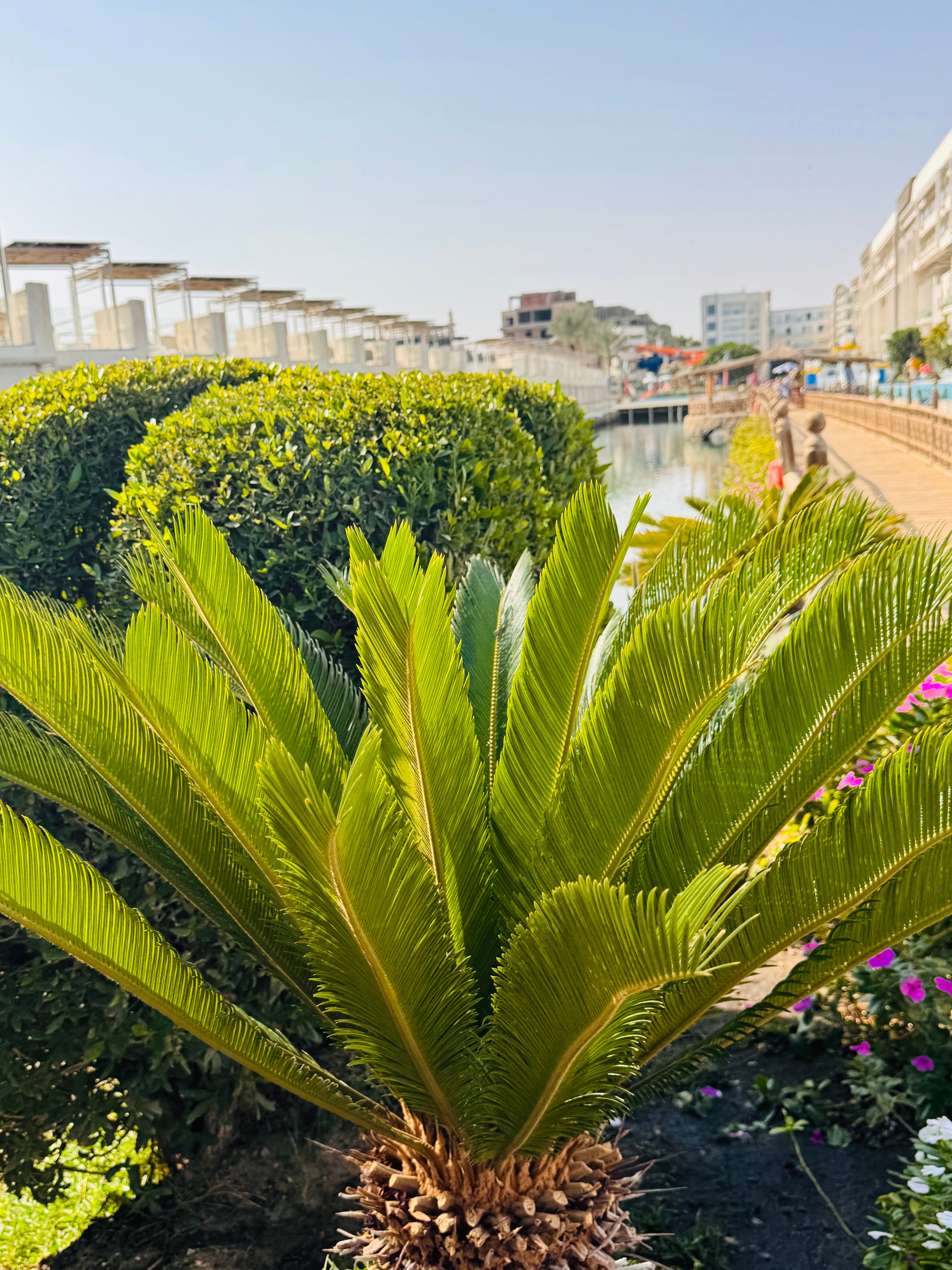 Фото Белладжио Бич Резорт & Спа