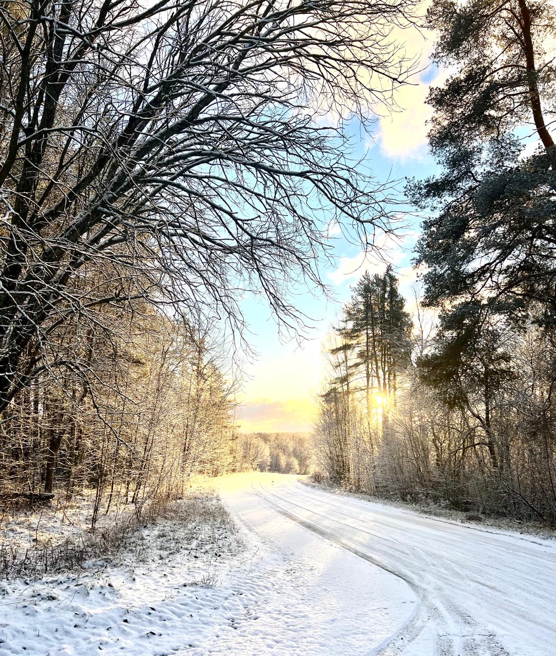Фото Belka Village