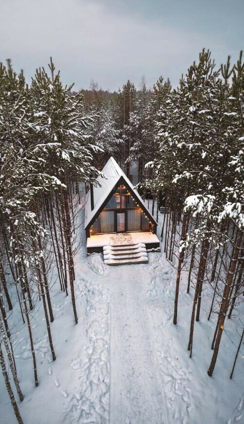 Фото Место под соснами