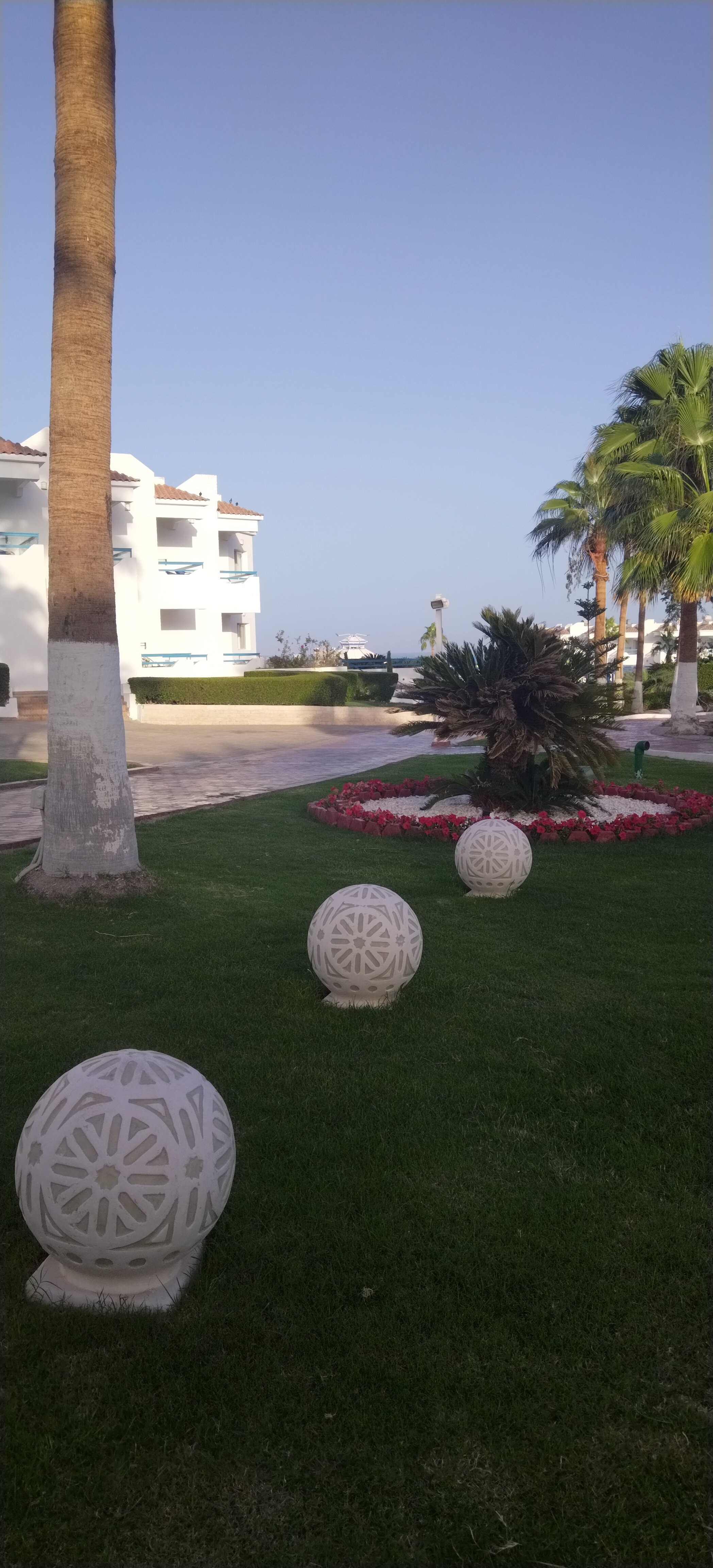 Фото Dreams Beach Resort Sharm El Sheikh