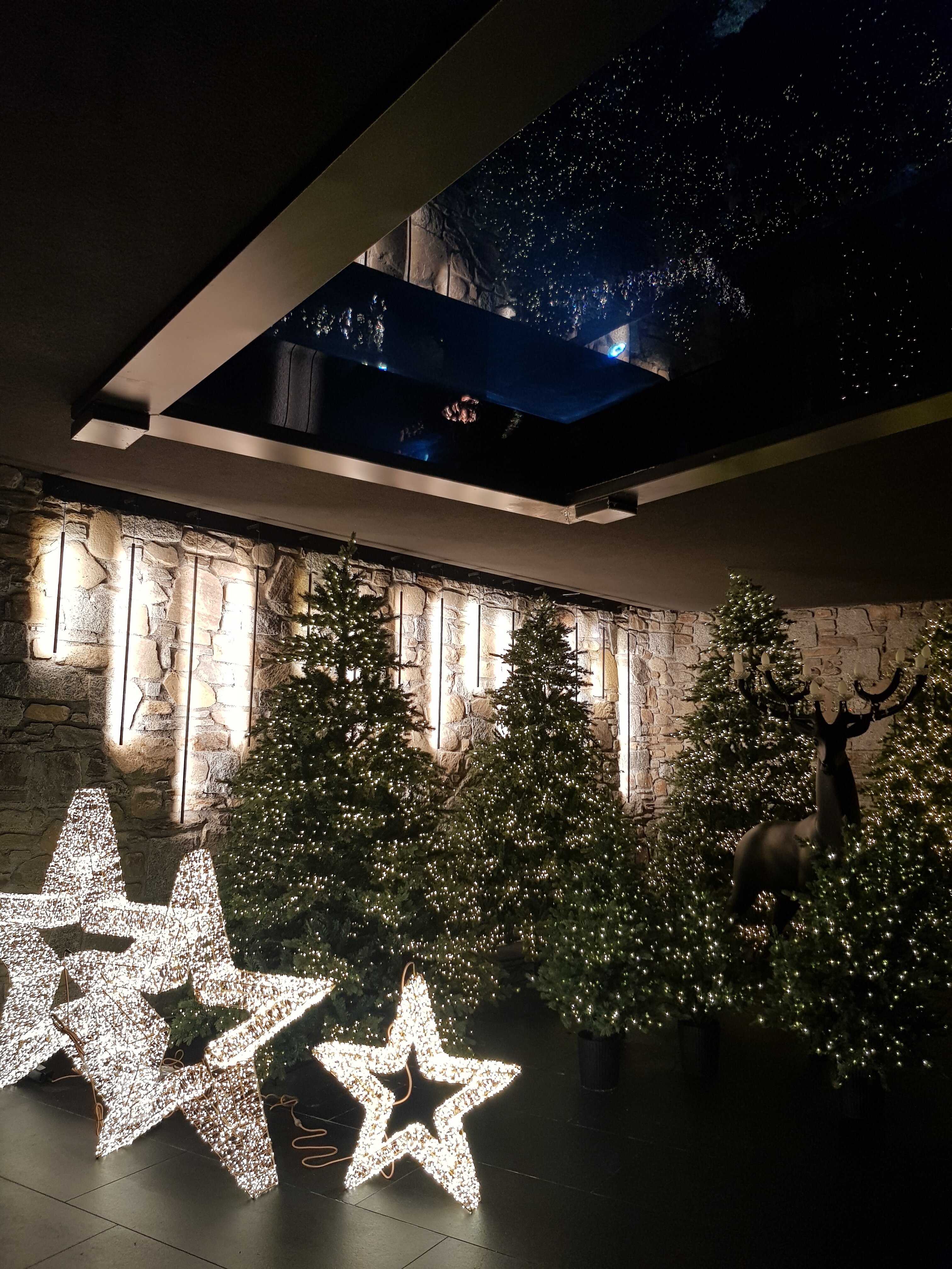 Фото Hotel Chalet Al Foss