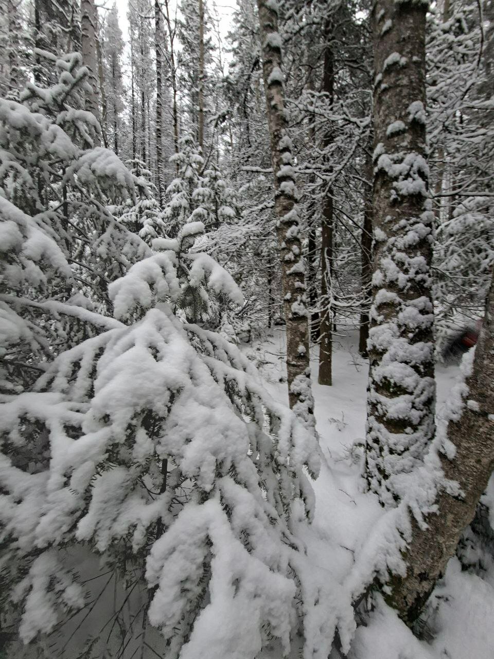 Фото Эко-Дача