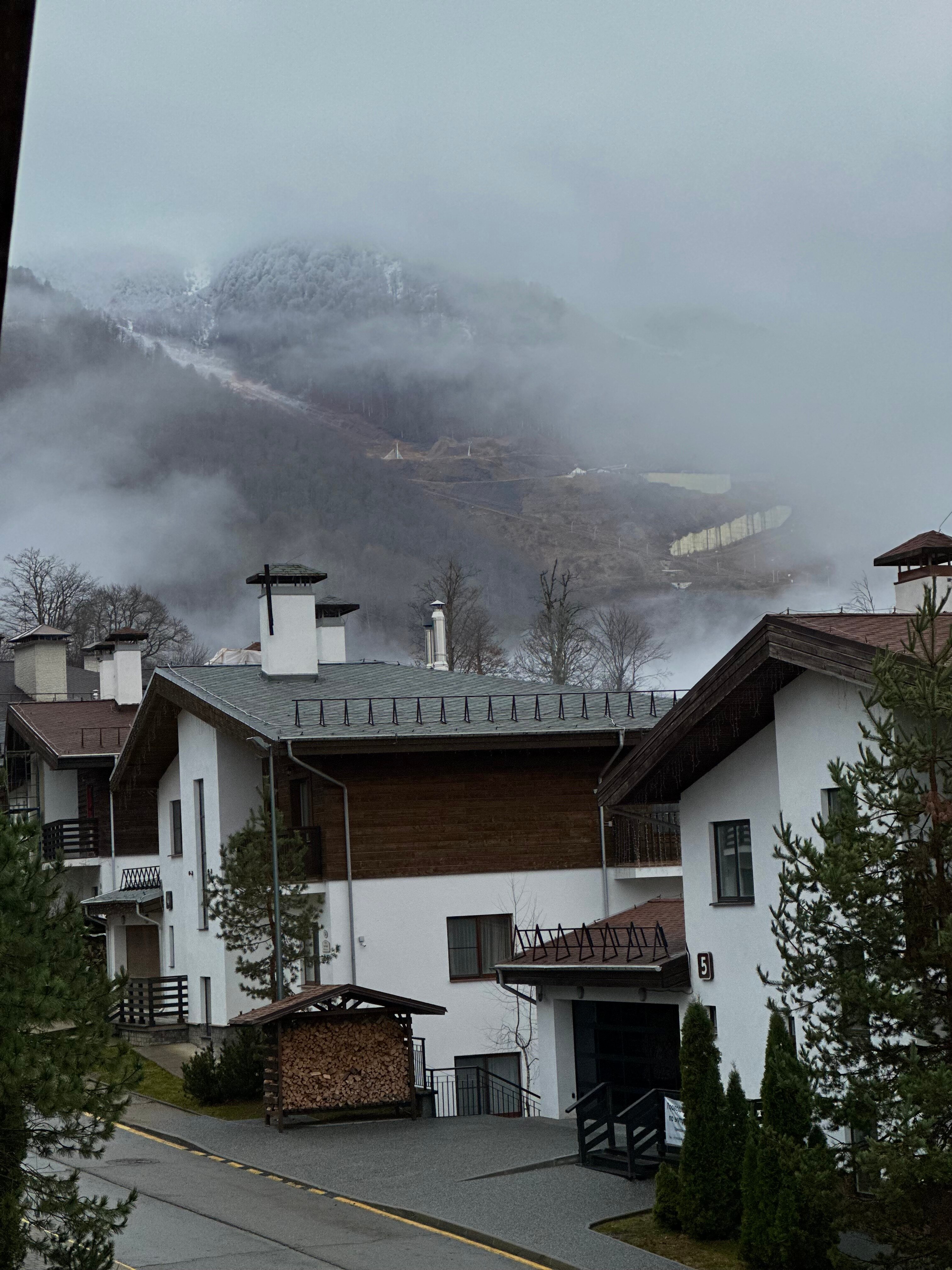 Фото Роза Шале