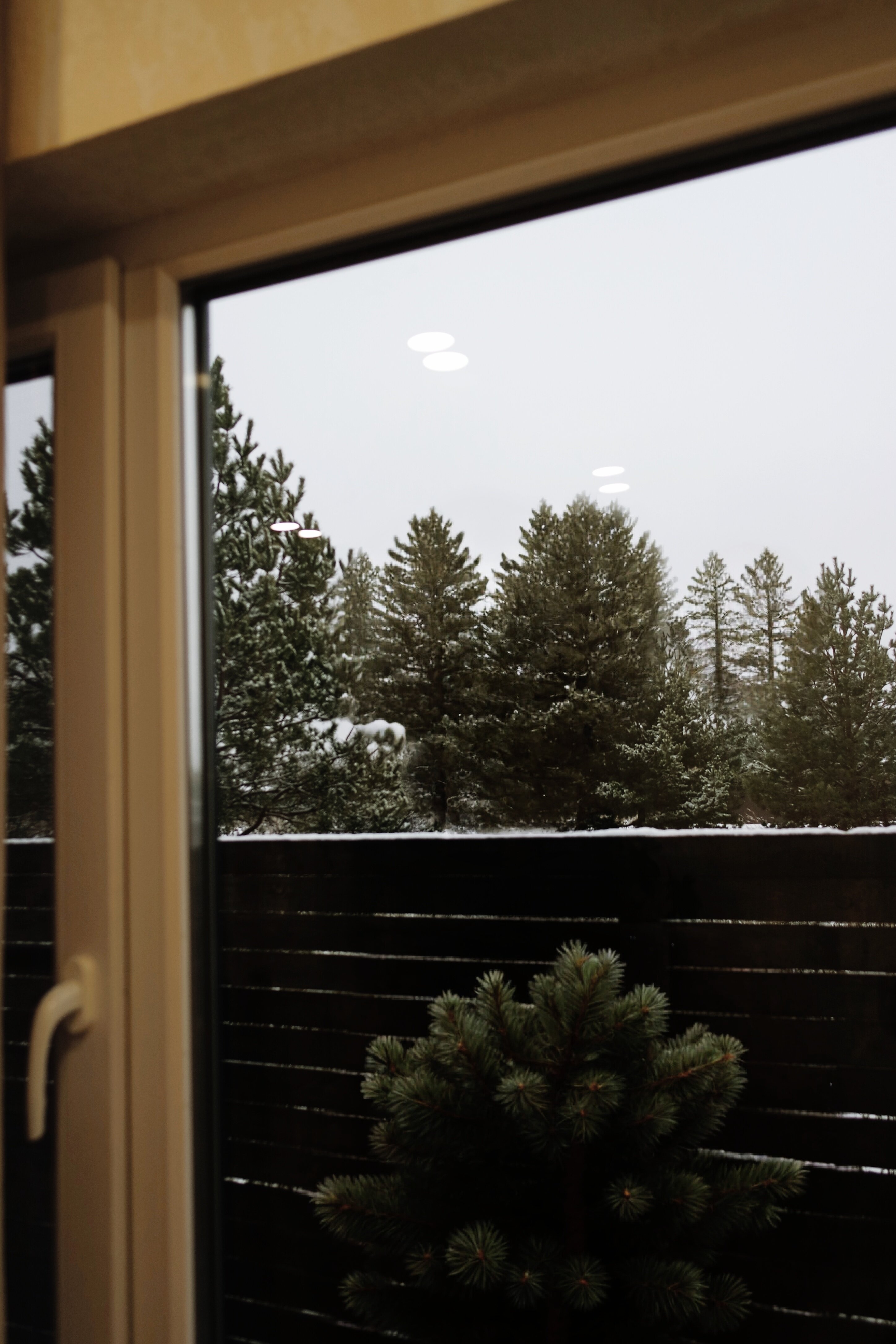 Фото Шёпот Ветра