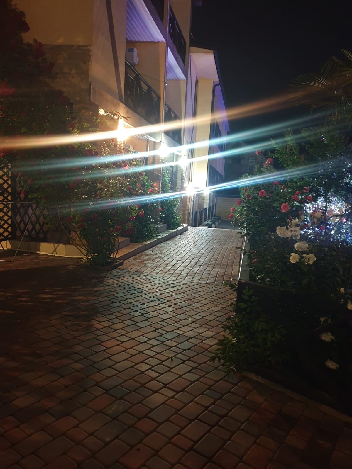 Фото Море Удачи