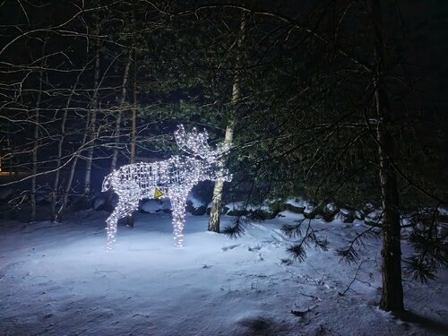 Турбаза Березовый хутор в Изборске