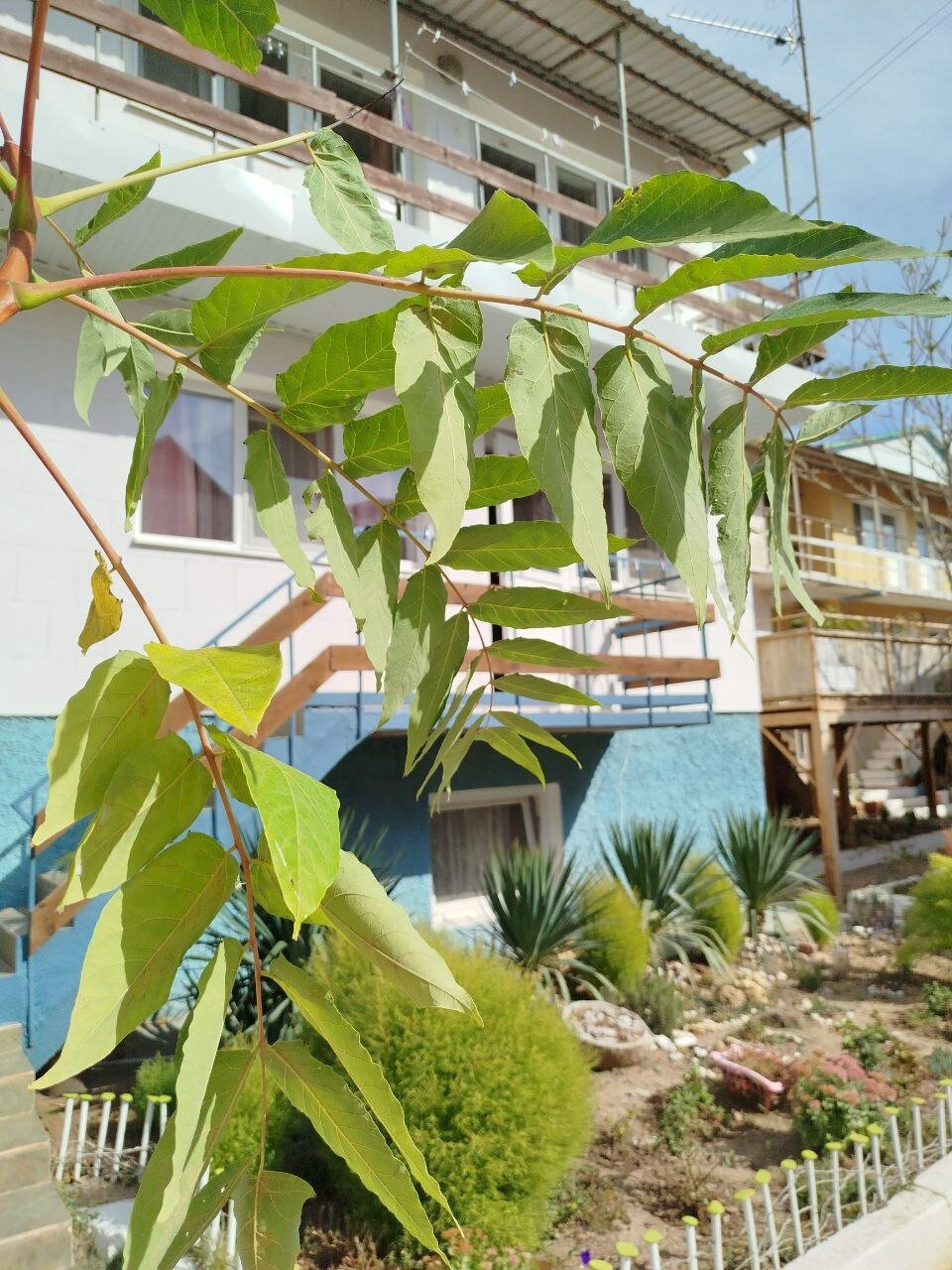 Фото Домик у моря