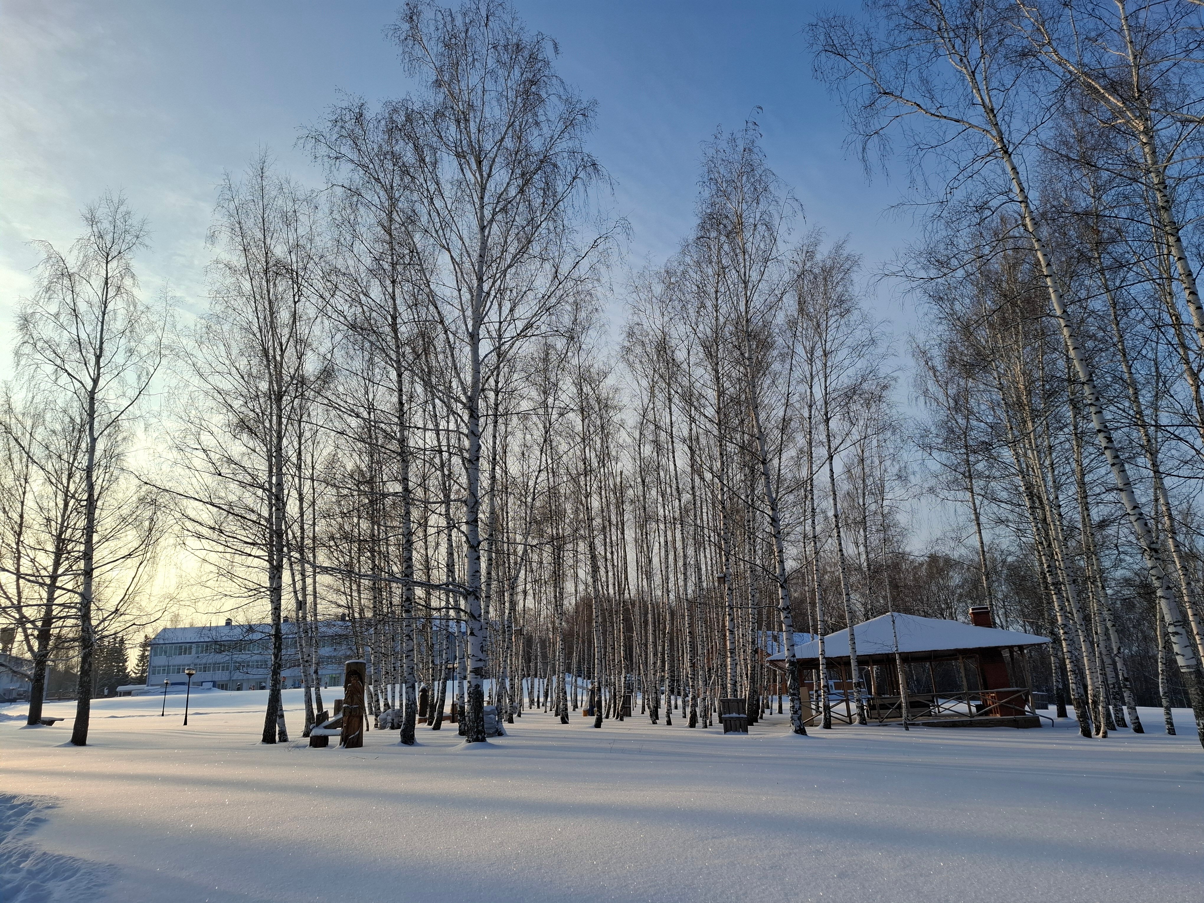 Фото Мечта