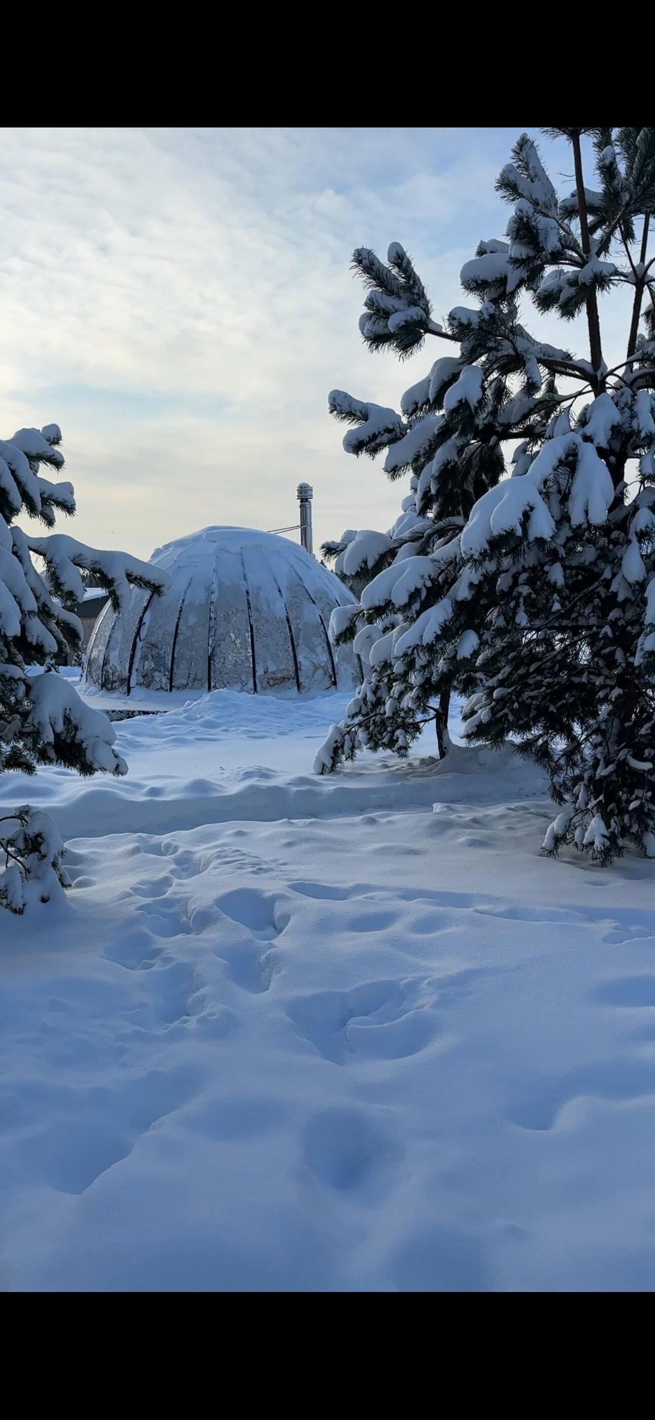 Фото Муза Рузы