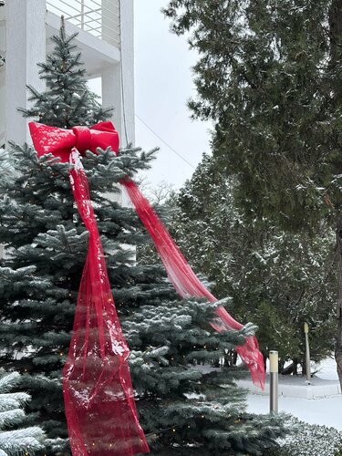 Апартаменты Art Hotel Koktebel Apartments в Коктебеле