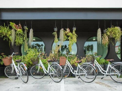 Гостиница Blu Monkey Hub and Hotel Phuket на Пхукете