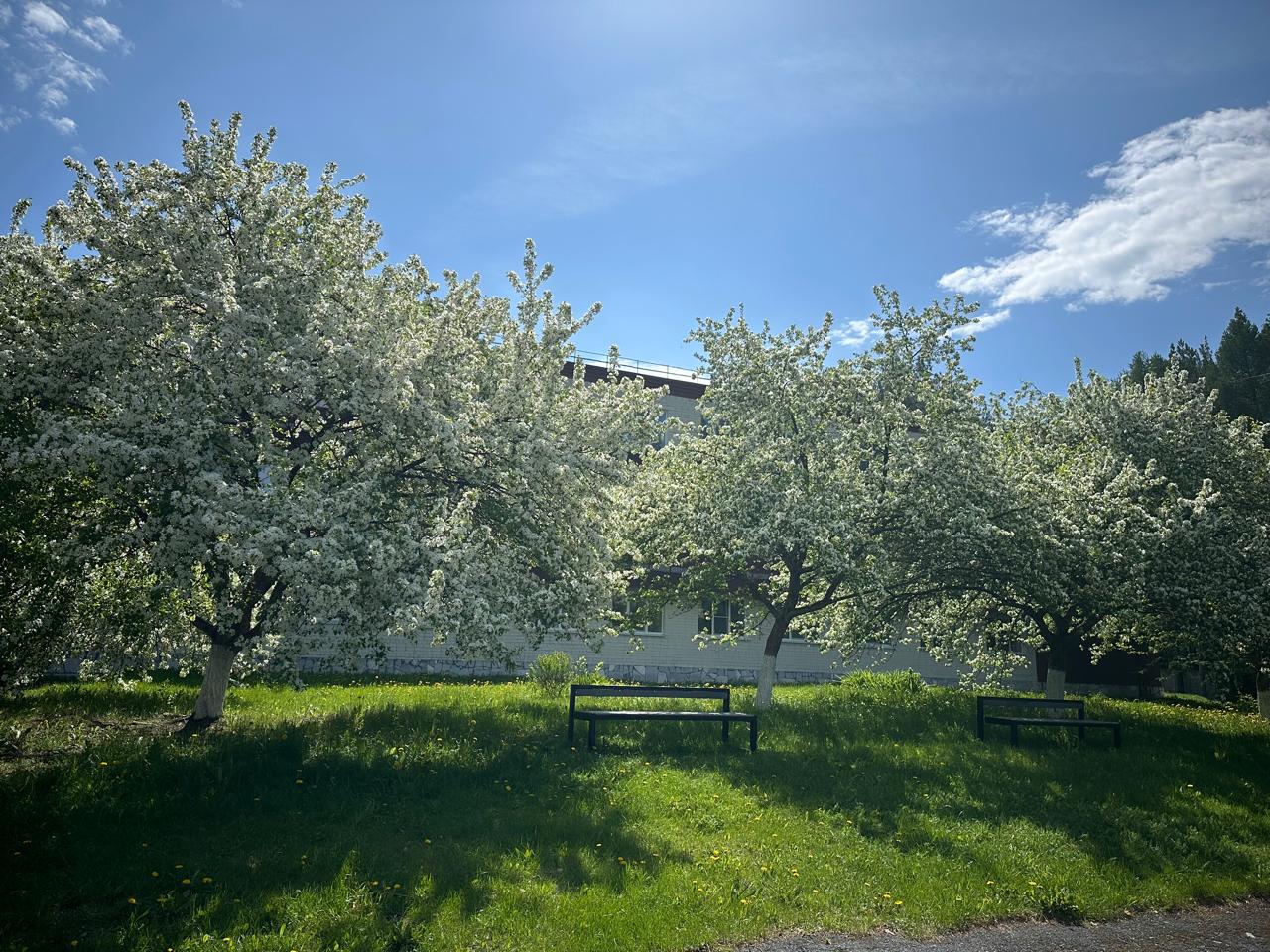 Фото Санаторий-профилакторий Дюжонок