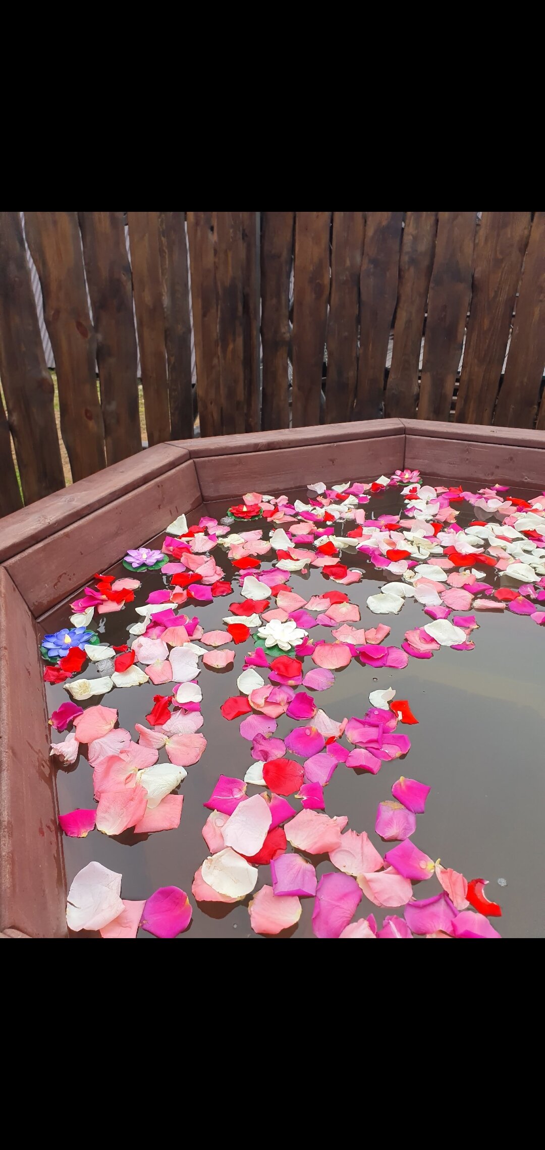 Фото Дом у пруда