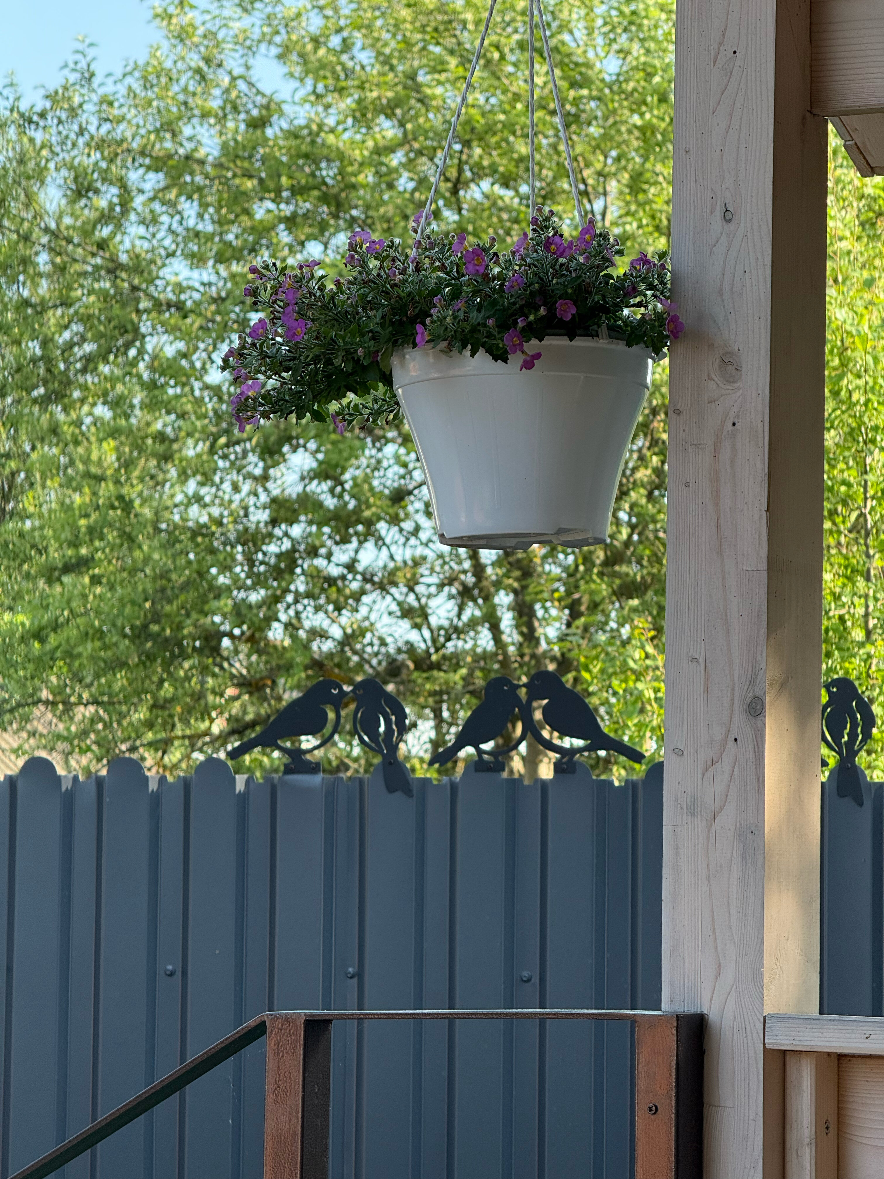 Фото Радость