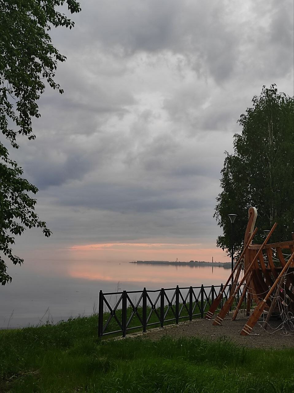 Фото Морошка