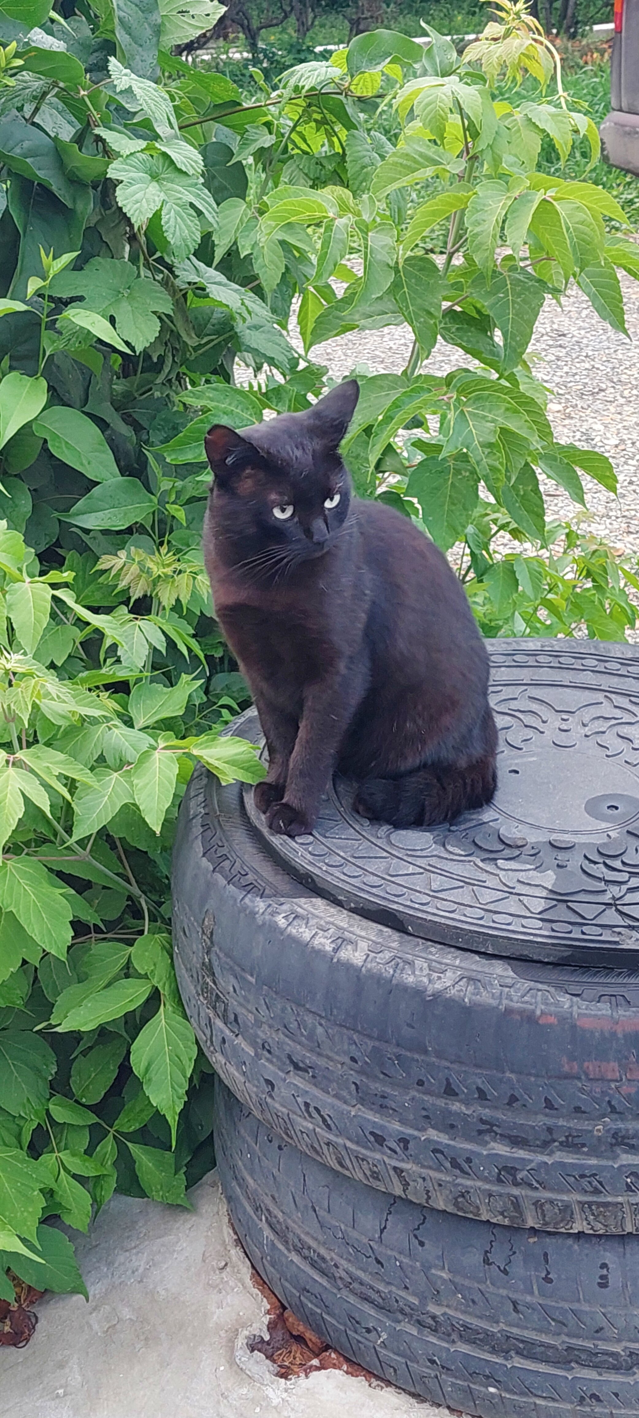 Фото Тихая Пристань