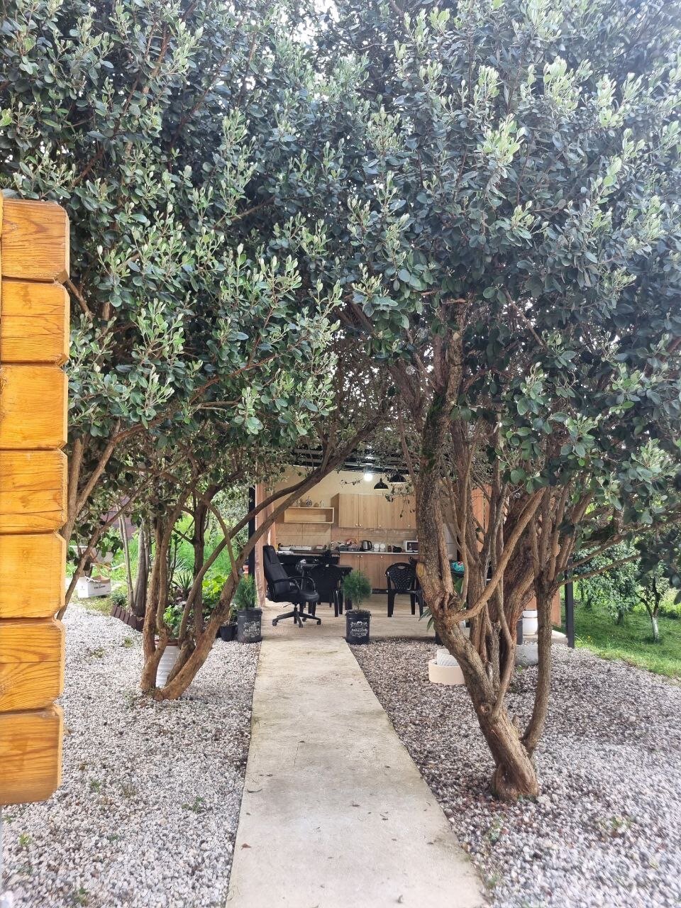 Фото Артель