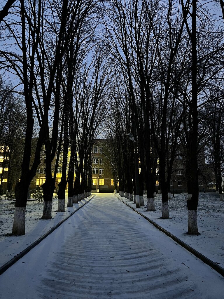 كلية، جامعة Yuzhny federalny universitet Akademiya psikhologii i pedagogiki ، روستوف نا دونو، صورة