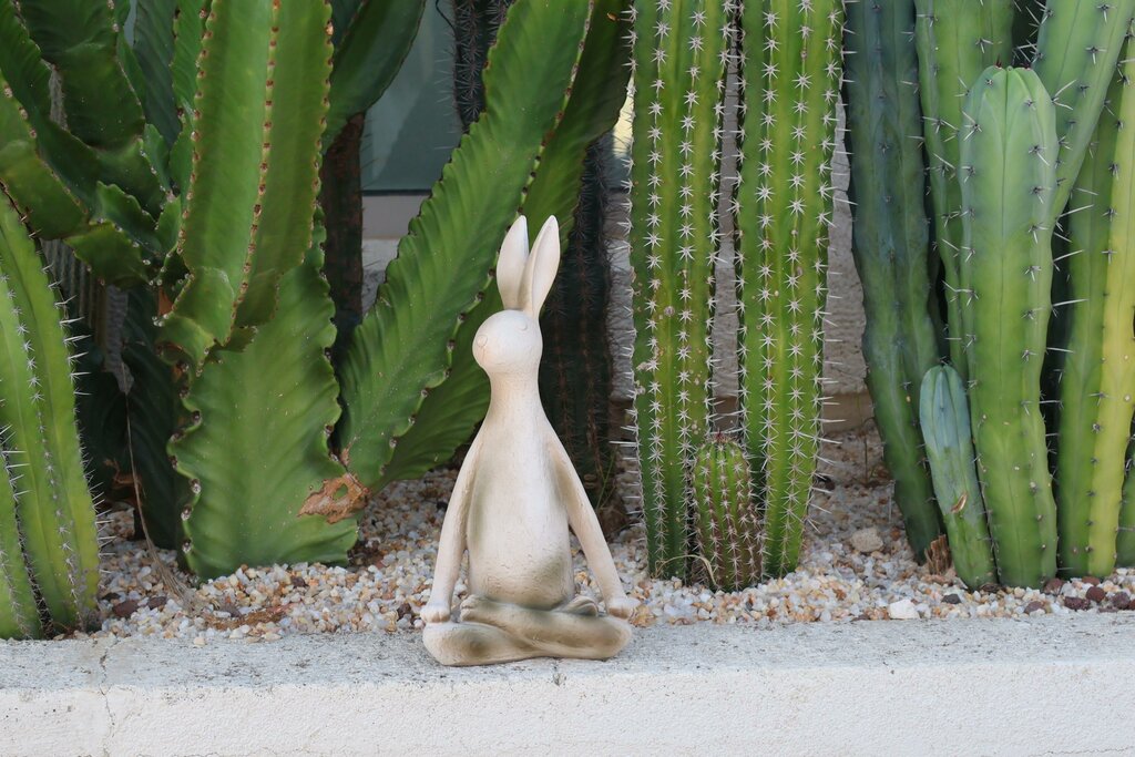 Home goods store Miko Home And Garden, Cesme, photo