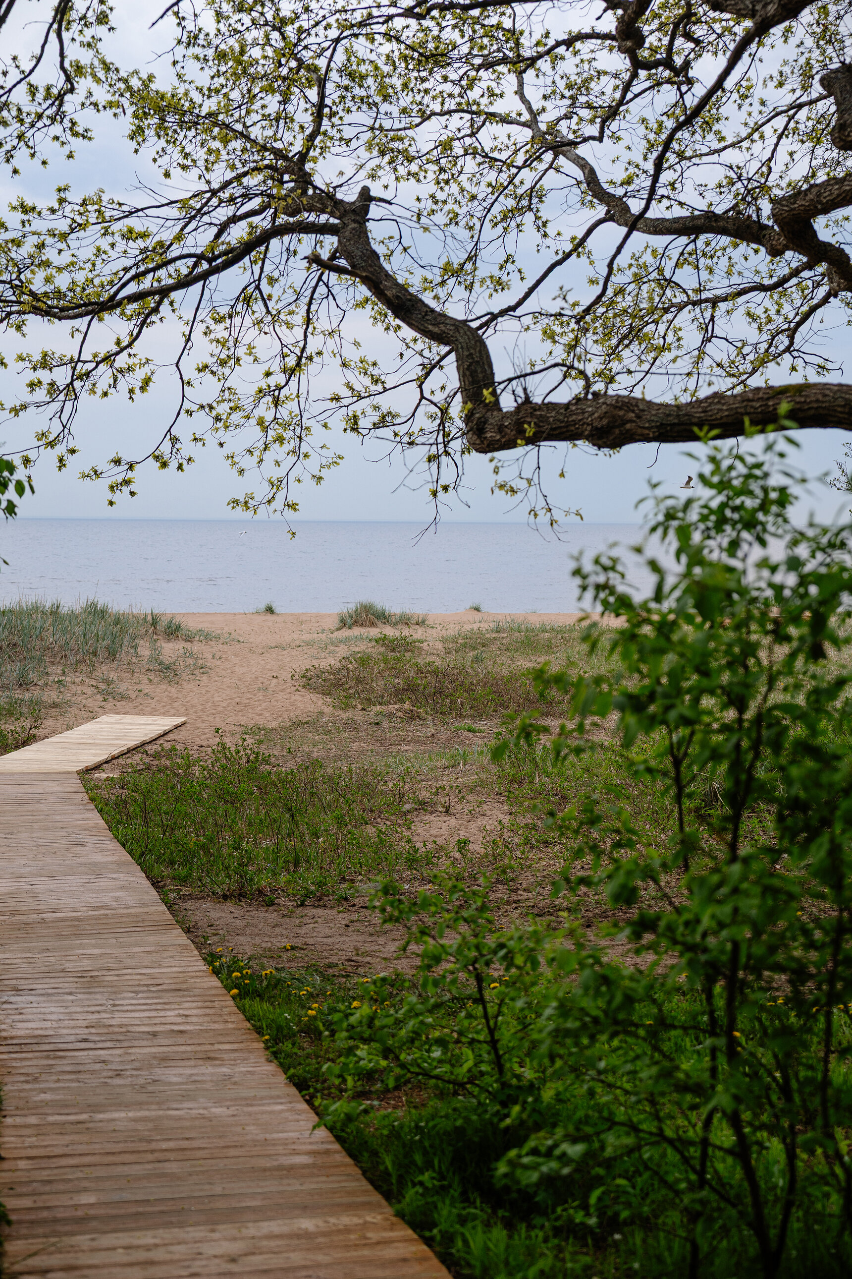 Фото Ривьера Апарт