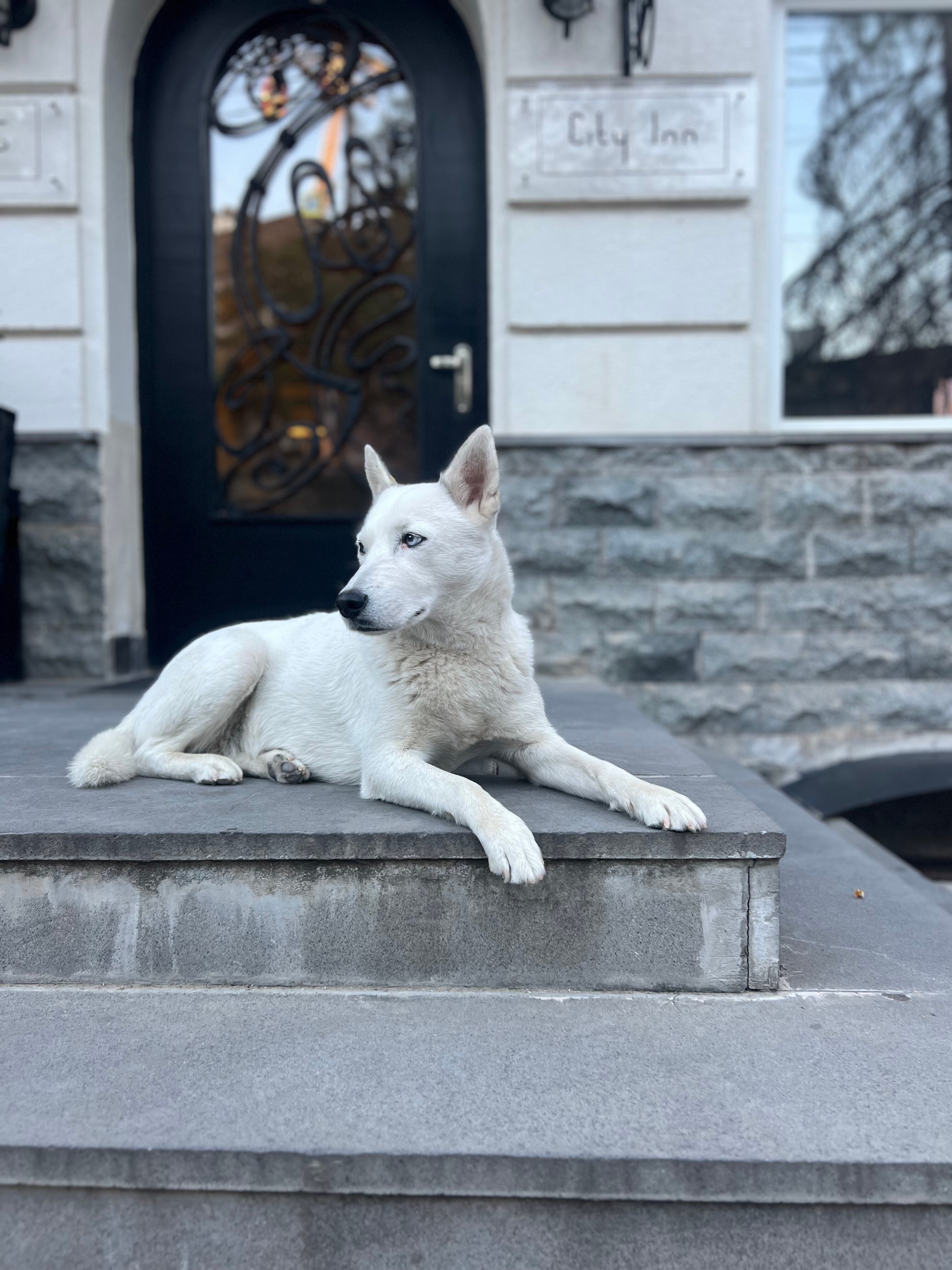 Фото City Inn Tbilisi