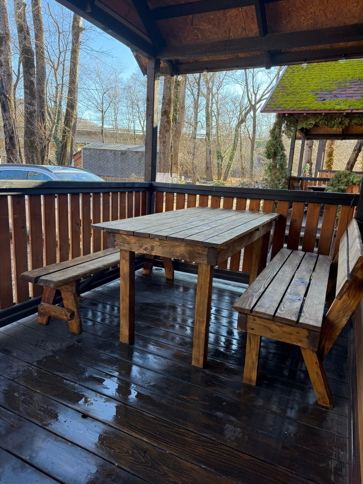 Фото Кактус Арт