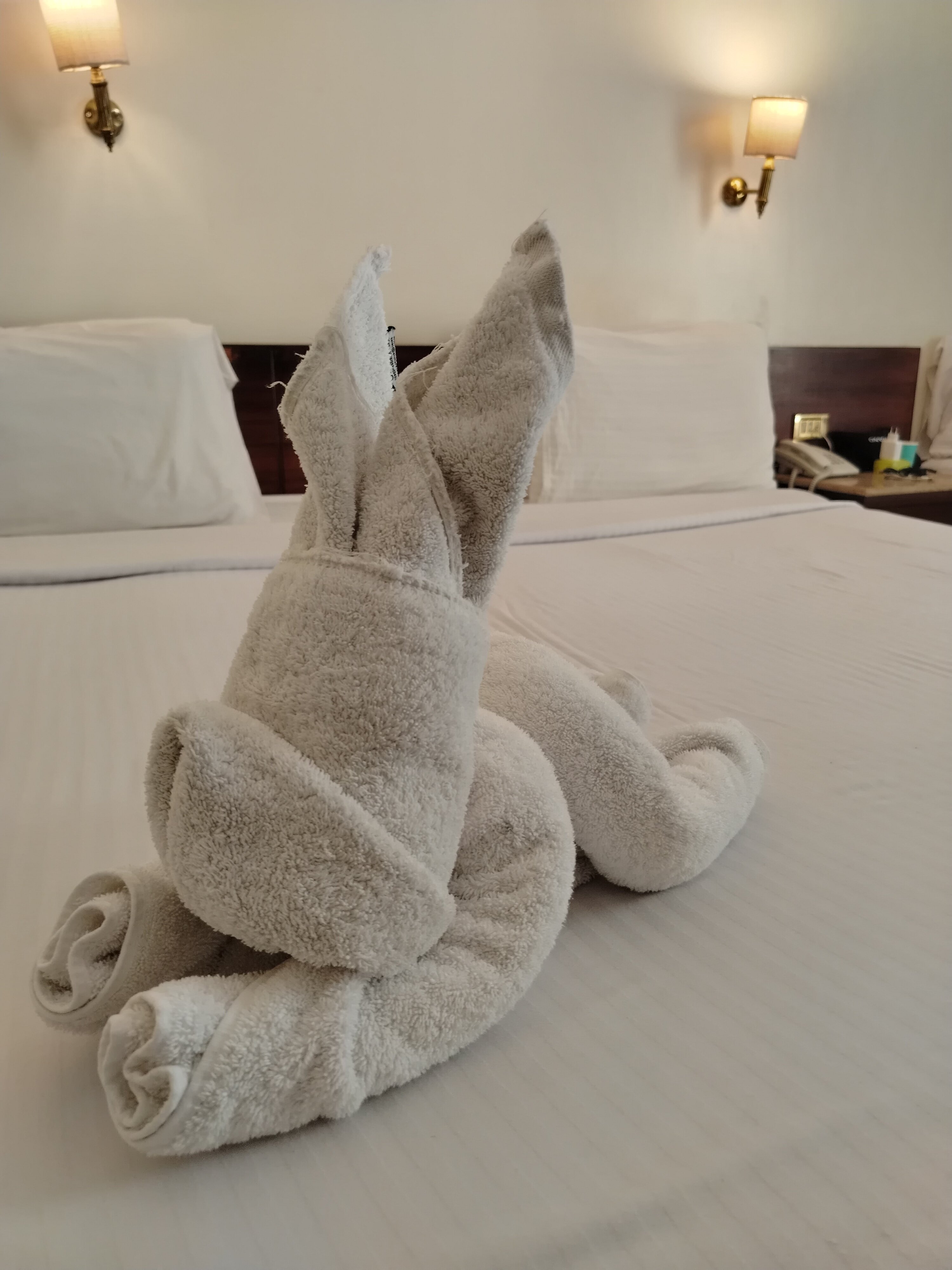 Фото Sharm Reef Hotel