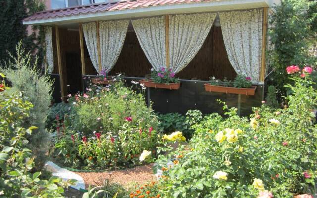 Фото Валента