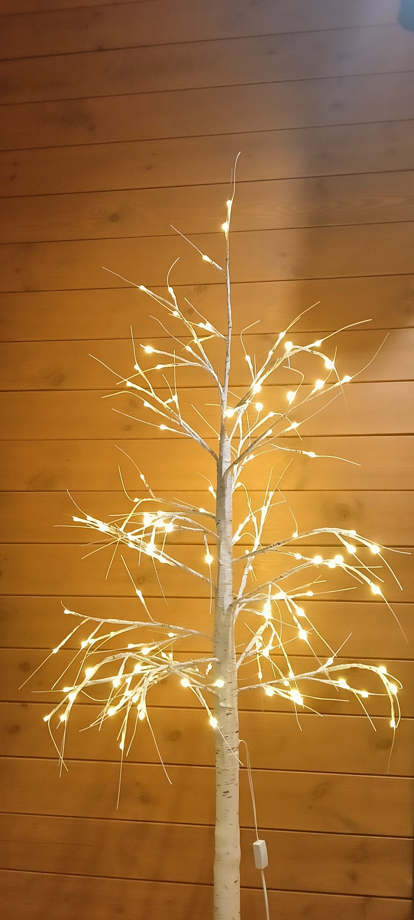 Фото БарнБаш