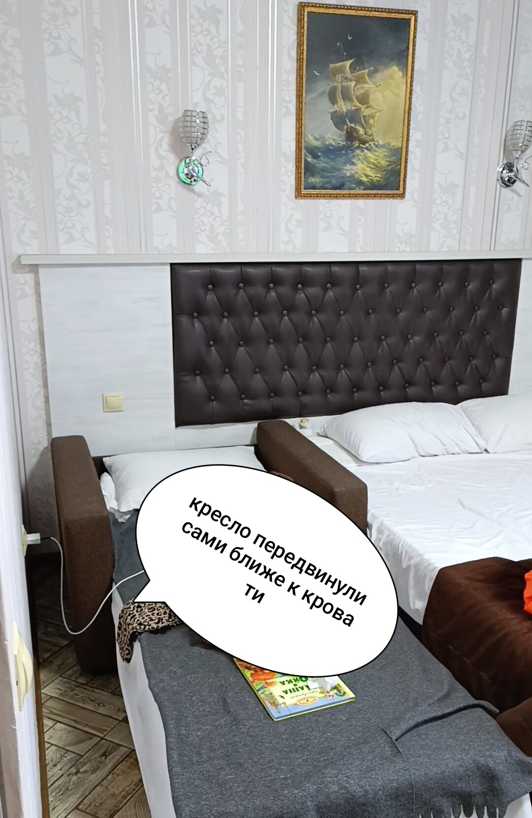 Фото Ленивый тюлень