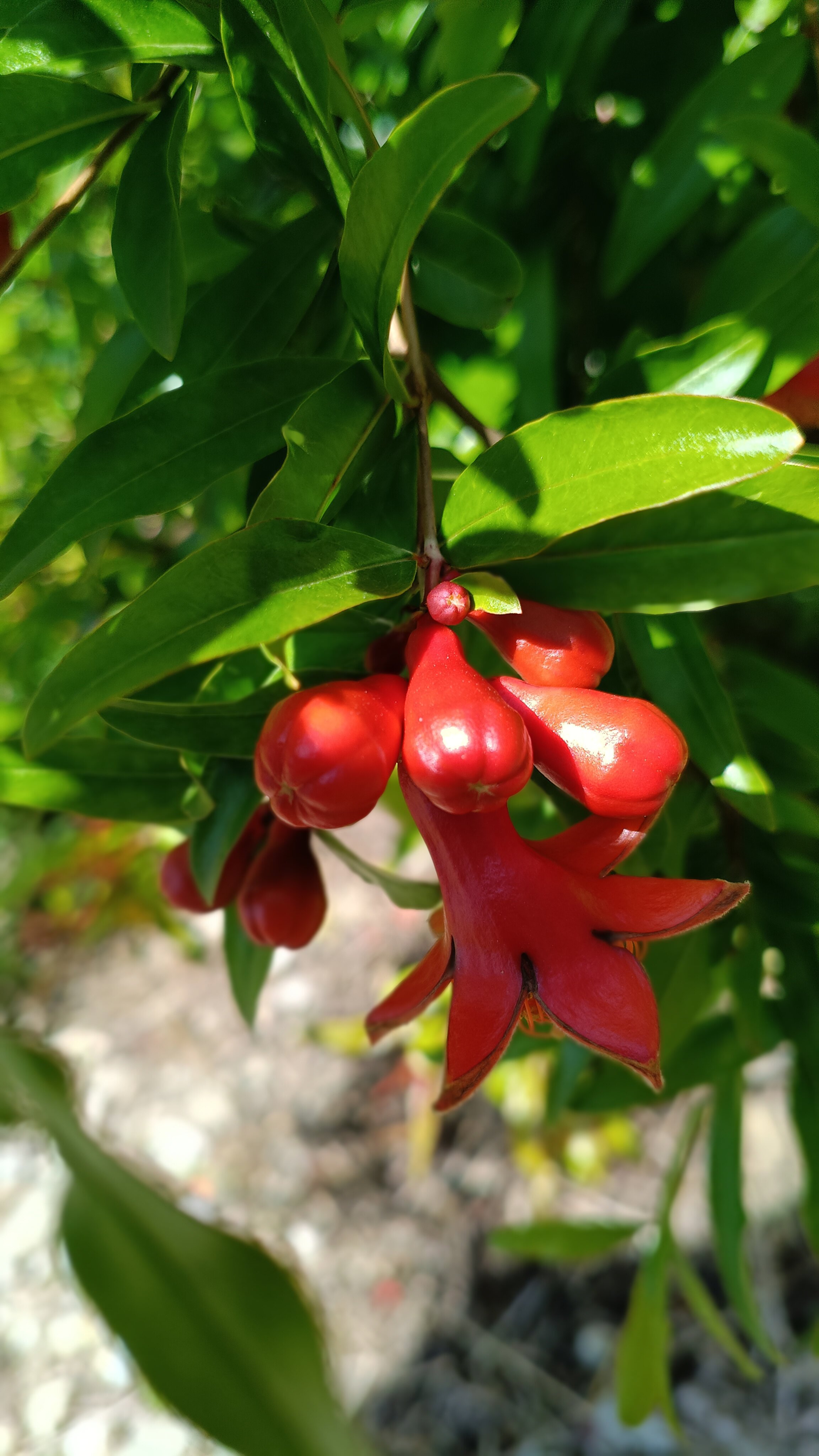 Фото Зеленая Усадьба