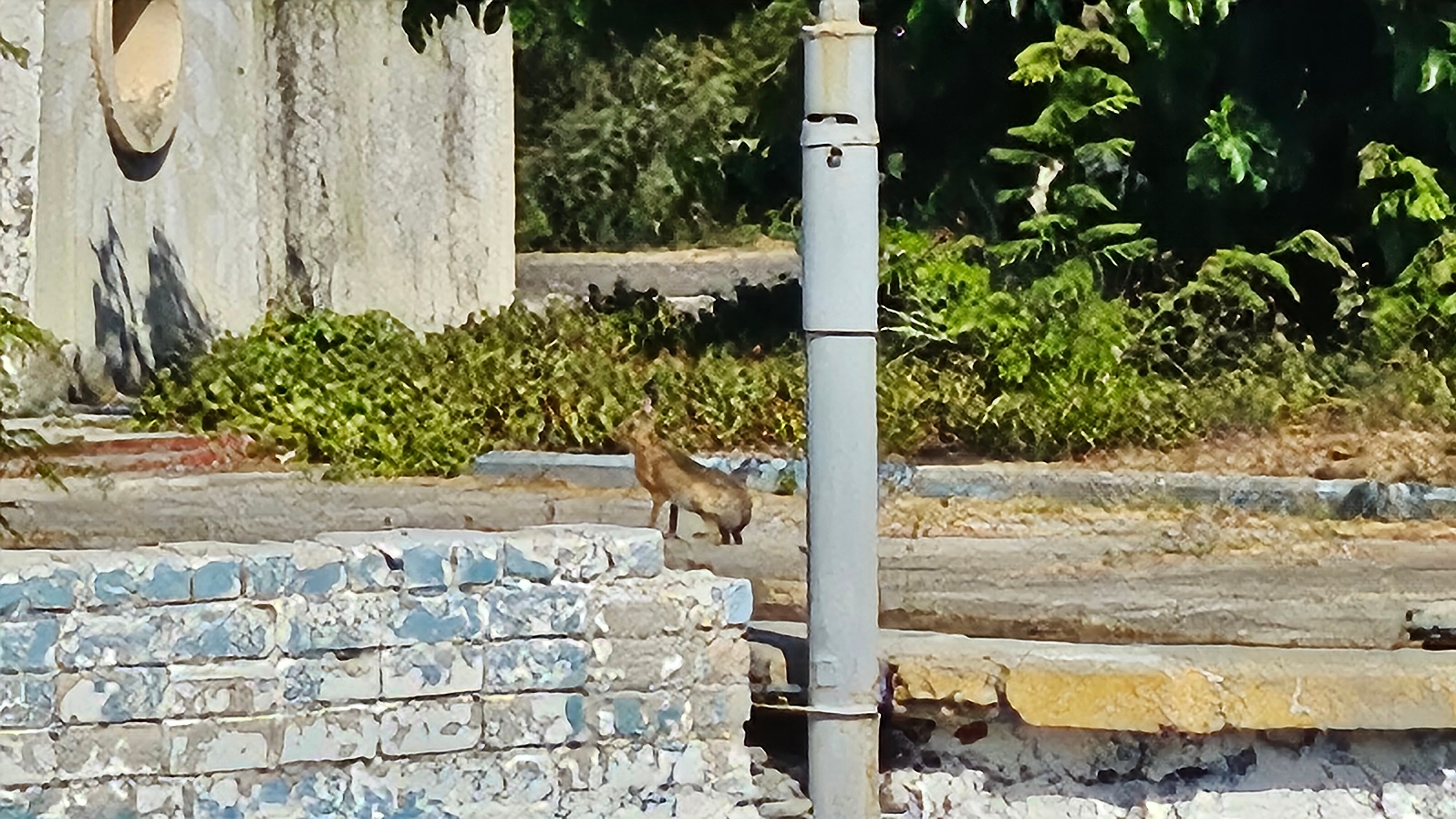 Фото Дружба