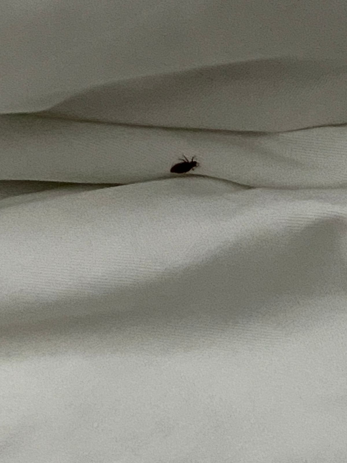 Фото Art Deluxe Hotel by Art Hotels Group