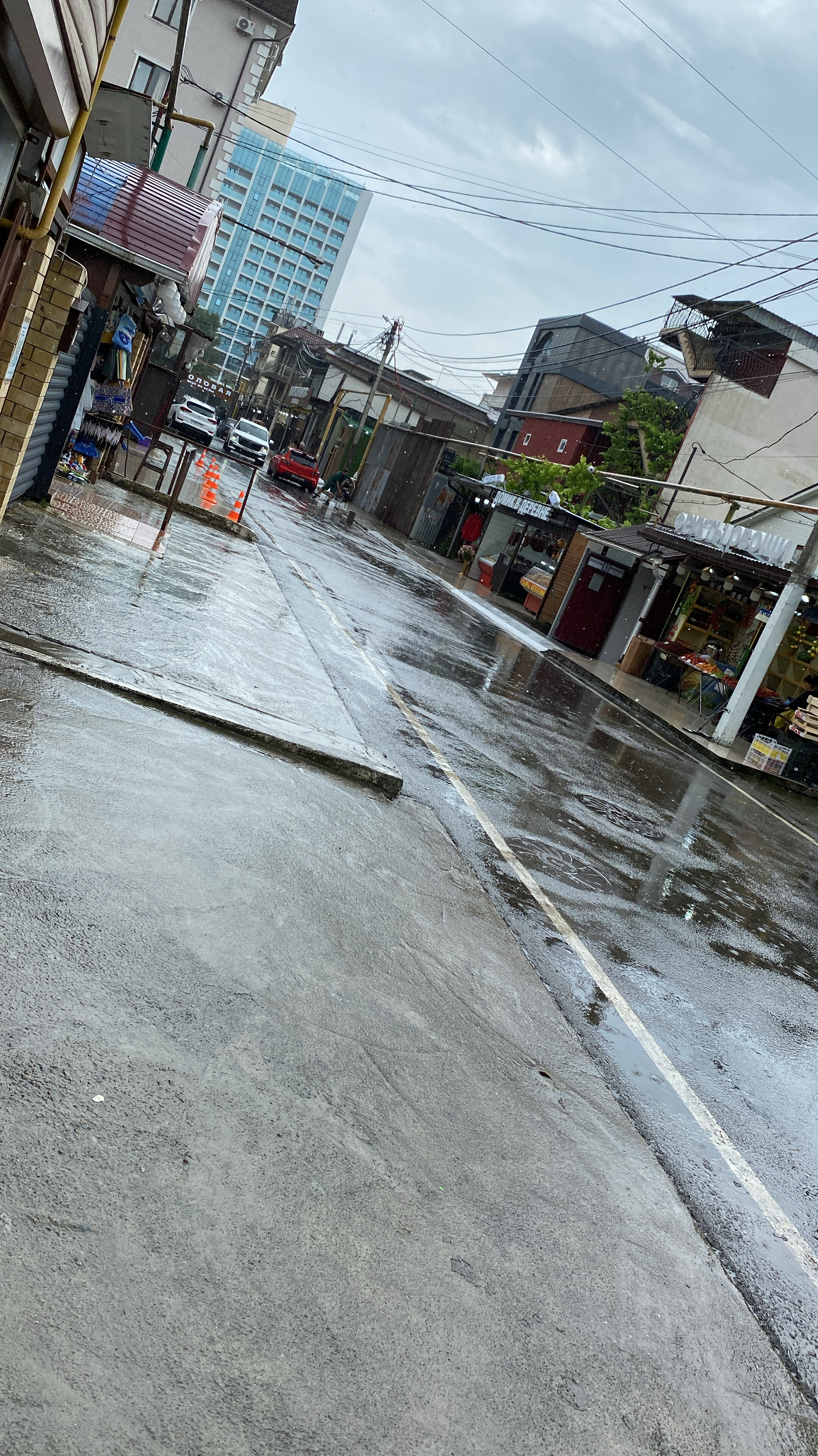 Фото Айвори