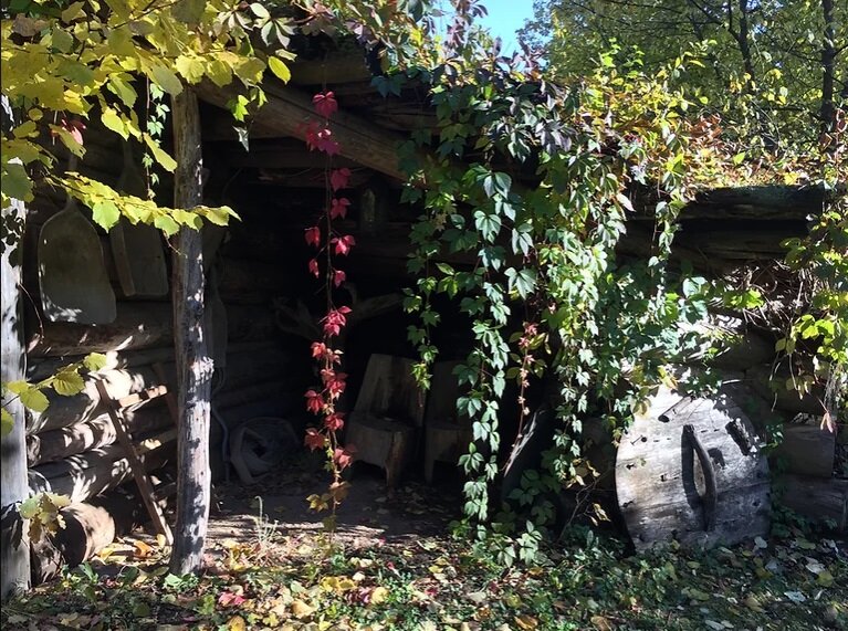 Фото Шале Пахта