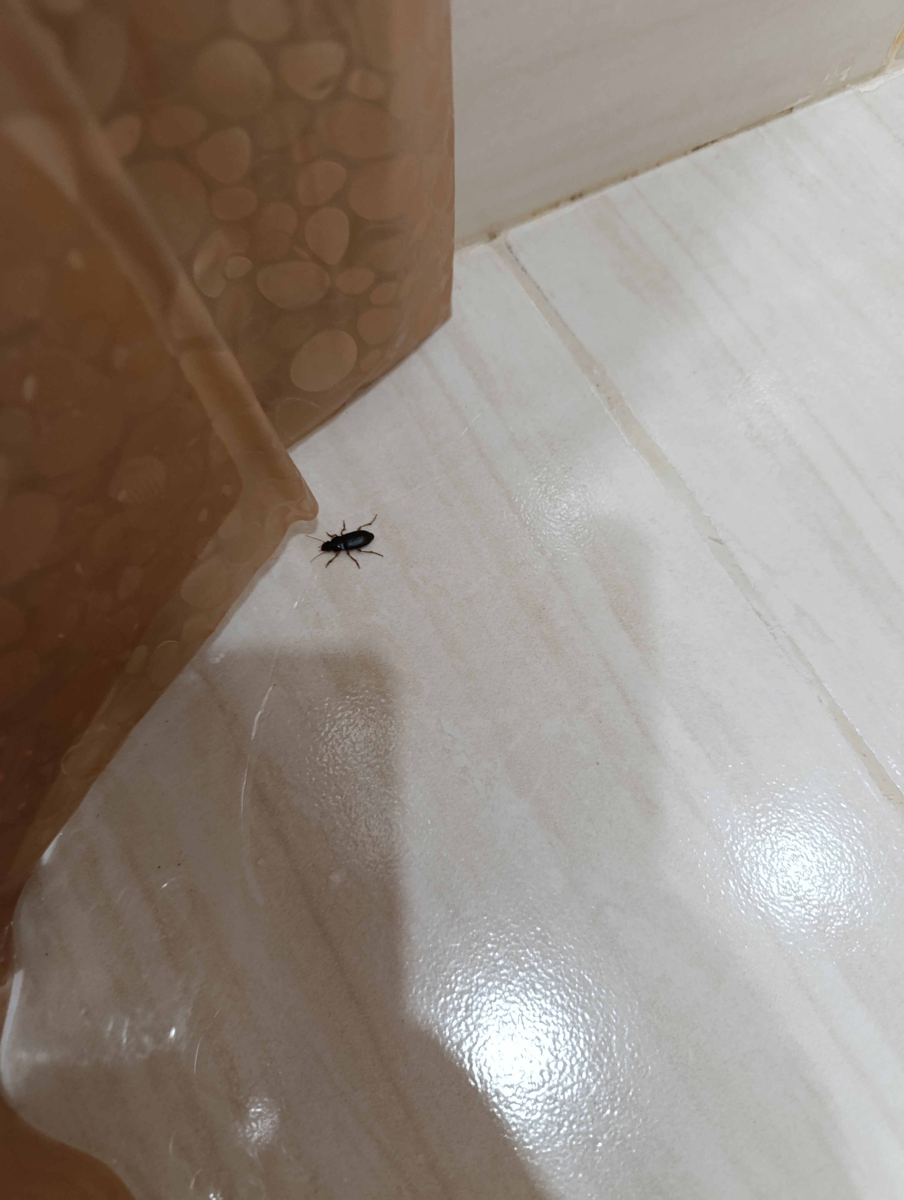 Фото У Дарьи